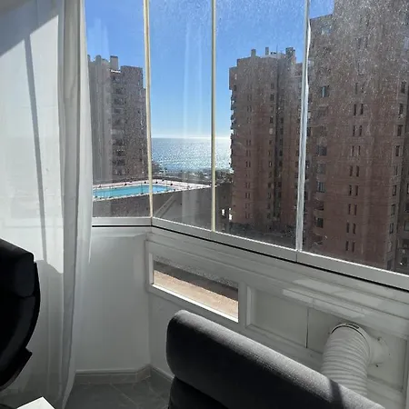 Modern Studio Palmeras